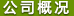 公司簡介